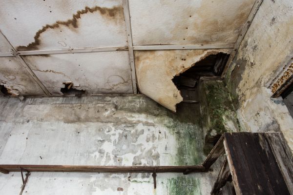 Water Damage Service in Blue Springs