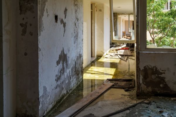 Water Removal Service in Blue Springs